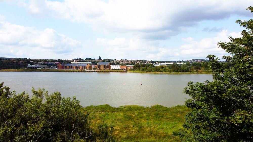 Petersfield Area Guide - Cubitt & West
