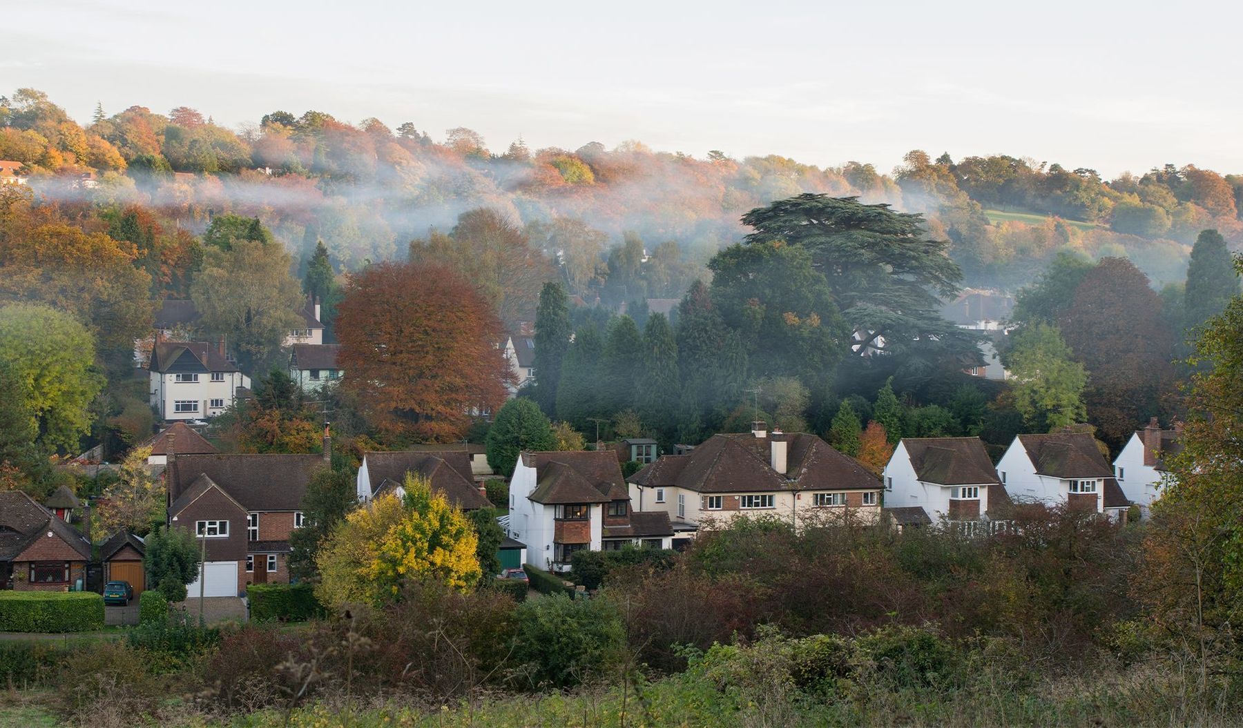 Banstead Area Guide - Cubitt & West