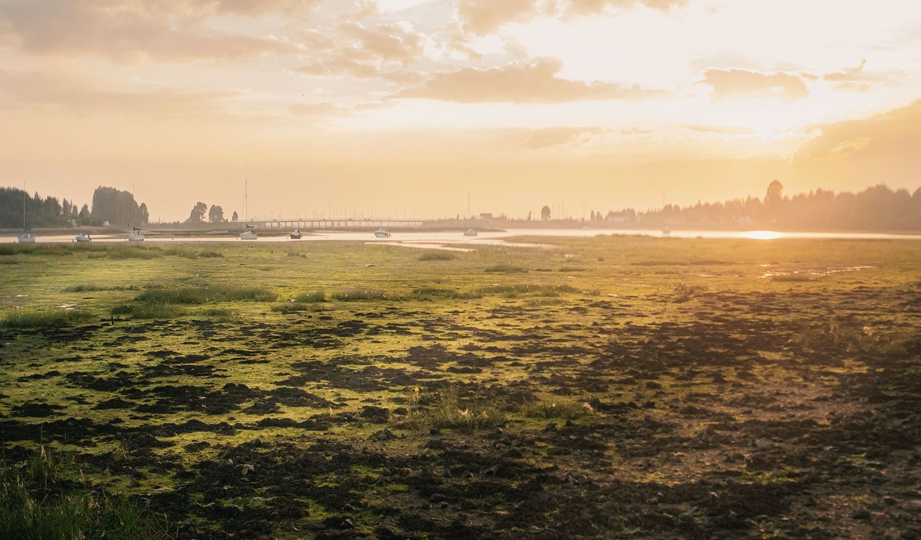 Emsworth Area Guide - Cubitt & West