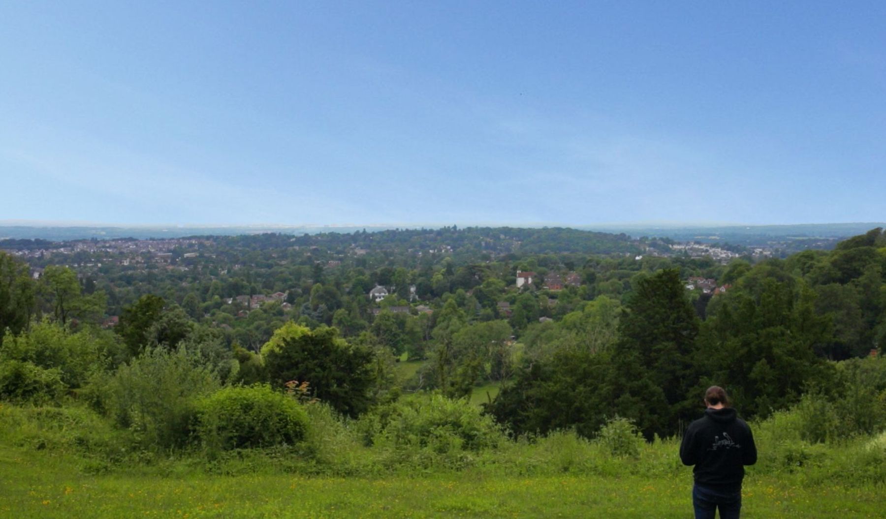 Leatherhead Area Guide - Cubitt & West