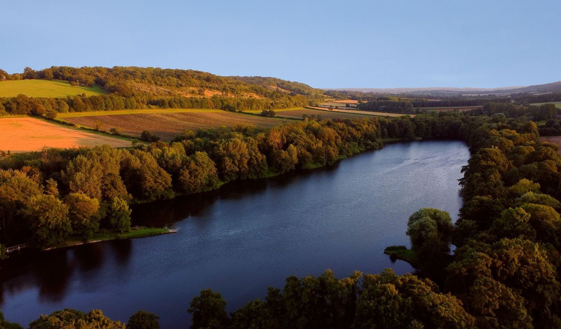 Shirley Area Guide - Cubitt & West