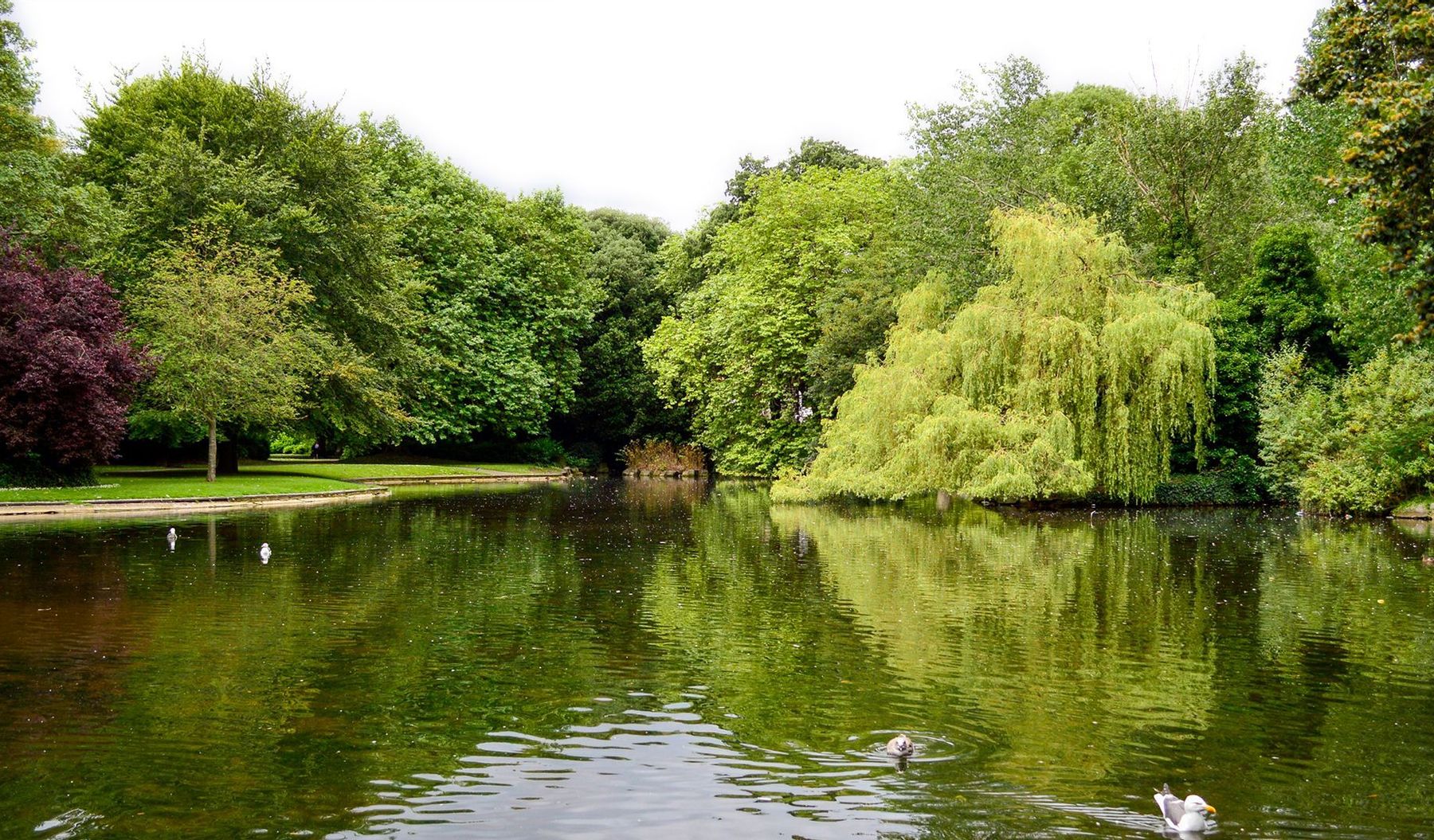 Southwater Area Guide - Cubitt & West