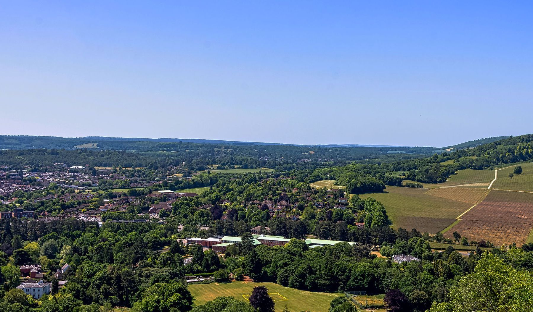 Sutton Area Guide - Cubitt & West