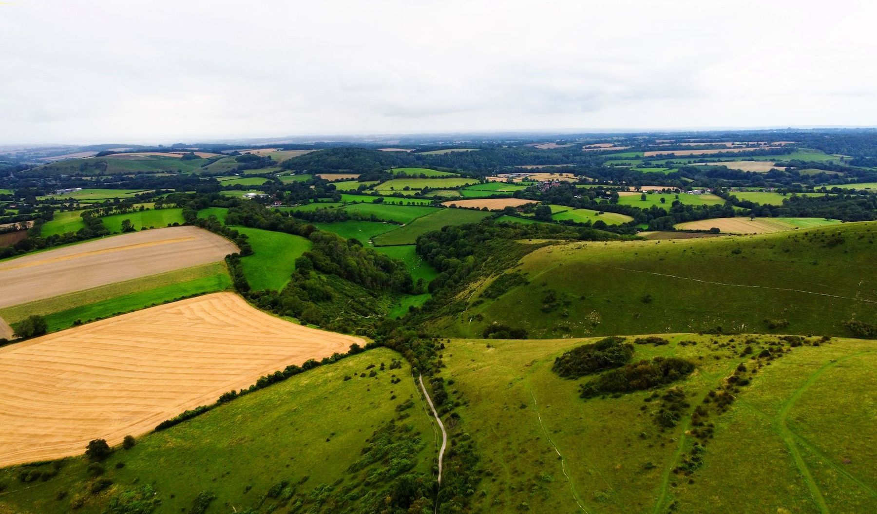 Waterlooville Area Guide - Cubitt & West